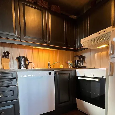 Bjodnabakkens Fjellutsikt